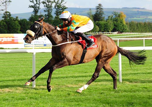 Red Laser and Sean Corby