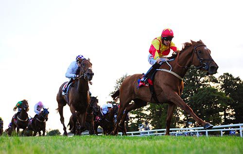 Annagh Haven scores under Leigh Roche