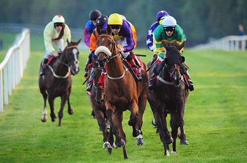 Windsor Park makes the running under Pat Smullen