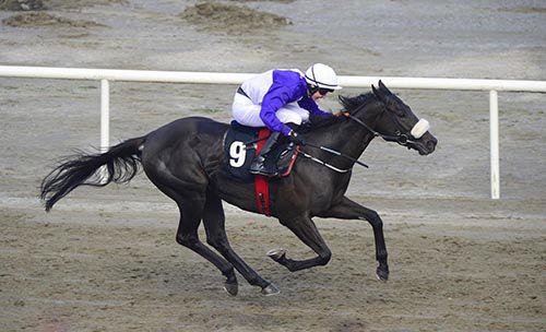 Sister Slew and Joseph O'Brien 