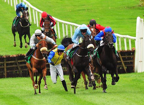 Brand Ambassador leads as Andrew McNamara departs from Myles Ahead