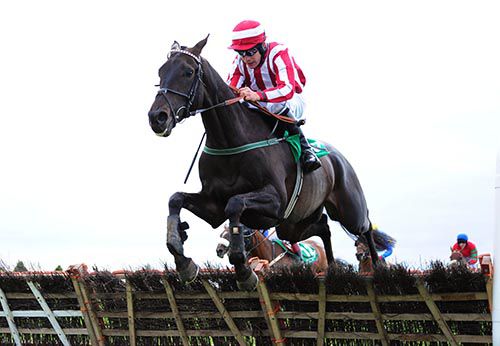 Jarob and Robbie Colgan clear the last in Navan
