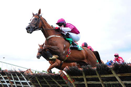 Coldstonesober and Kevin Sexton grab a win in Navan