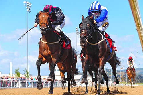 Folk Law (left) battles it out with Dandyleekie
