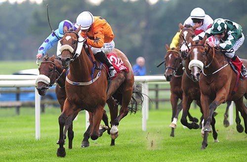 Shukhov and Fergal Lynch have their rivals on the stretch at Galway