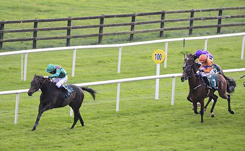 Tarana and Declan McDonogh are clear from Beyond Brilliance and Shell House