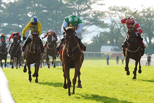 Valours Minion comes home in front under Mark Enright 