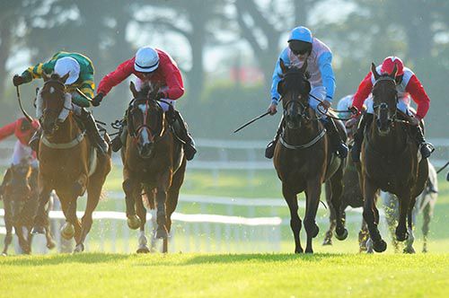 Baby Whizz (left) comes home strongly under Mark Walsh to prevail