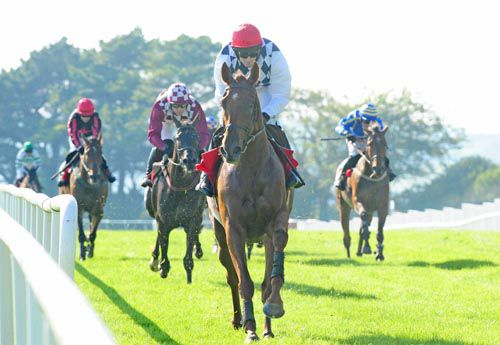 Dandridge and David Casey win easily