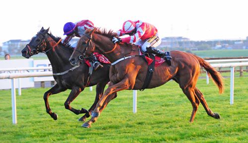 Sheamus (nearest) claims Princely Conn 