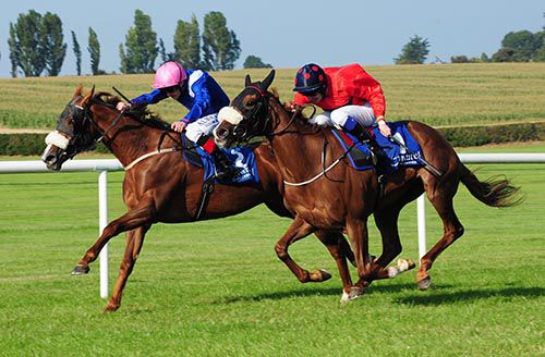 Nidhaam and Pat Smullen (inside) get the better of Fanzine and Declan McDonogh 