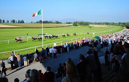 Oceania Queen leads them home in front of the Clonmel crowd