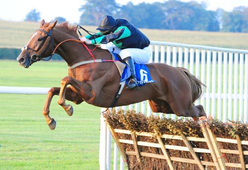 Pierlow jumps the last under Barry Cash