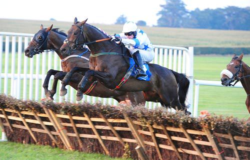 Island Villa jumps the last with Attraction Ticket on his inside  