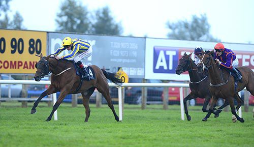 Pat Smullen completes a double at Down Royal on Notable Graduate