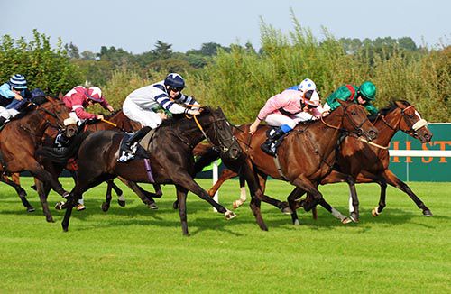Toe The Line (pink colours) and Fran Berry