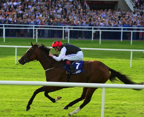 The Dermot Weld-trained Free Eagle