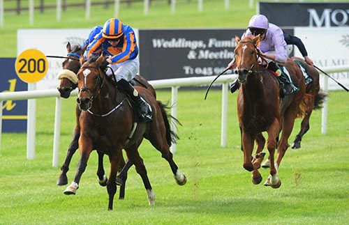 Gleneagles winning the National Stakes at the Curragh last September