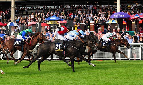 Midterm Break (No. 2) just holds on for Graham Gibbons