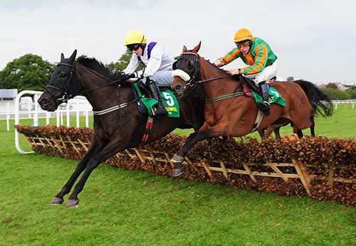 Solita leads The Fitz Lady (who eventually finished third) over the last