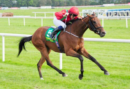 Hassah and Colm O'Donoghue win in style