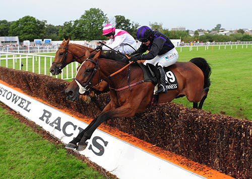 Your Busy jumps the last under Katie Walsh with Pass The Hat and David Casey on the outside