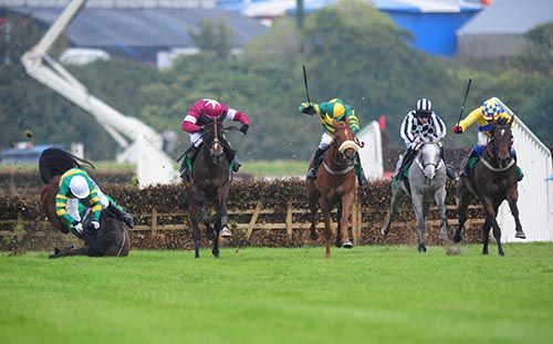 Hash Brown (noseband) comes through to lead on the run-in as Shield crashes out