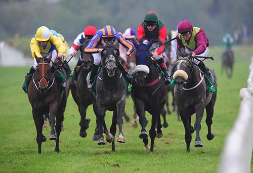 Asbury Boss sees it out well along the rail under 'Dusty' Foley to beat eventual 2nd Break My Mind (outer)