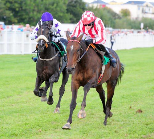 Allez Encore wins the mares bumper at Listowel