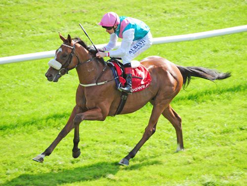 Intransive and Pat Smullen in command at Gowran