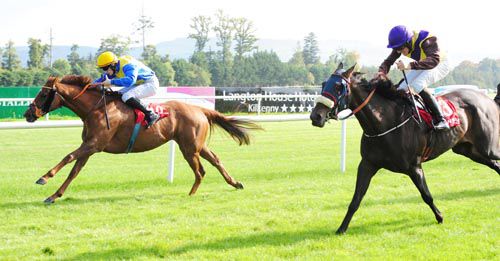 Zelos Dream, far side, beats Corker Hill at Gowran Park