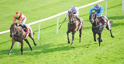 Salariaq, left, is too strong in Gowran Park