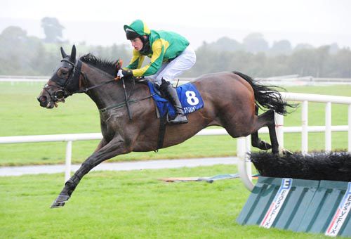 Daigreen jumps the last under Jody McGarvey