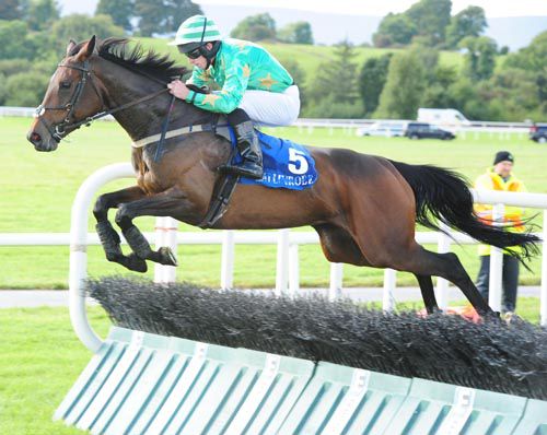 Melbourne Lady (Matty Bowes) sails over the last for an easy win