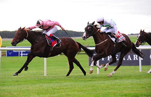 Toe The Line is driven out by Fran Berry