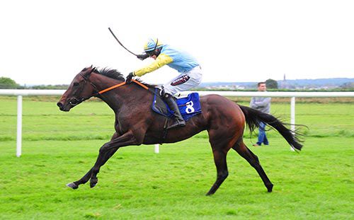 A fine shot of Lady Aoife and Harley Dunne taking the bumper at Roscommon