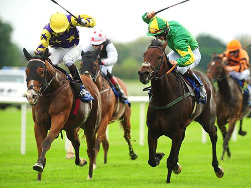 Lily's Prince and Gary Phillips (left) gets the better of Teeline (Philip Donovan)