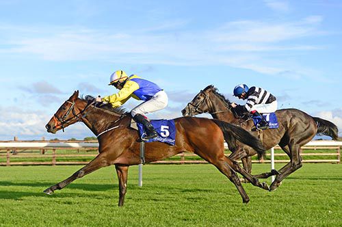 Break My Mind and Billy Lee gets the better of Lettre De Cachet and Chris Hayes