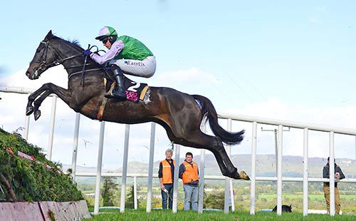 It's All An Act takes off at the last under Andrew McNamara