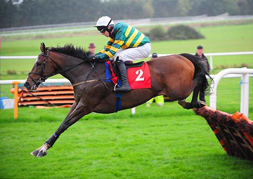 It was easy for Henry Higgins and Mark Walsh at Gowran