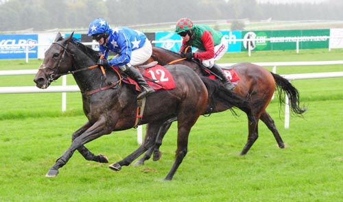 Grandma Dotty and David Casey have the measure of Tiger Trek and Barry Geraghty