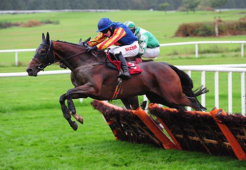 Chief Of Panama and Jonathan Burke clear the last from the mainly hidden Chakisto