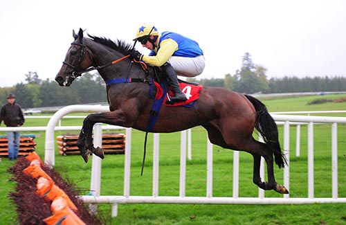 Another spring heeled leap from Little King Robin under Mark Walsh
