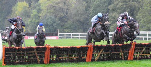 Left to right The King Of Brega, Brand Ambassador (centre, winner, Barry Geraghty) and Theatre Bird 