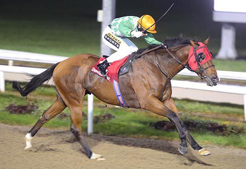 My Good Brother and Colin Keane