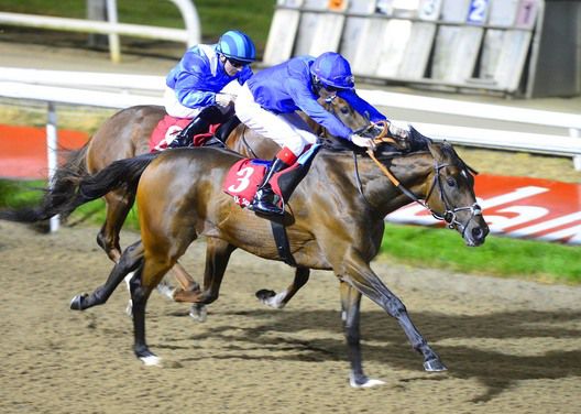 Cat O'Mountain sees it out well under Fran Berry from Prince Of All and Chris Hayes