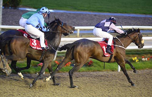 Orcia goes on to win under Conor Hoban from Clutchingatstraws (light blue) and Maira (hidden on rail), both impeded