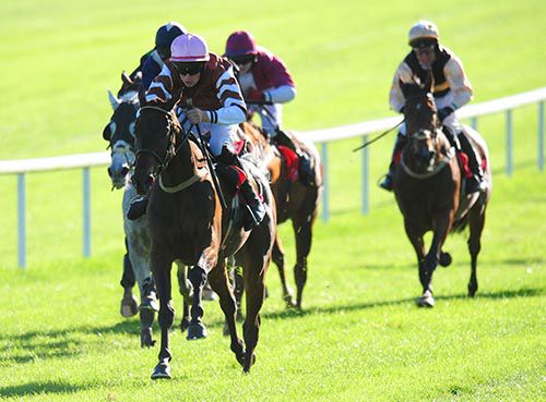 Thekingofconnemara on his way to victory in Gowran Park