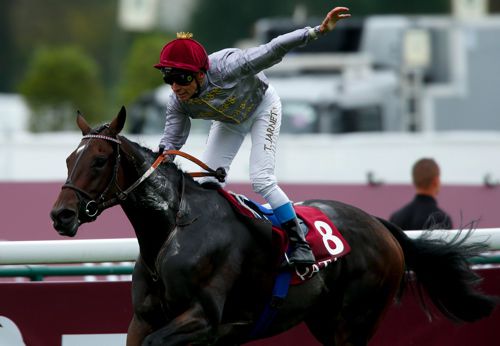 The brilliant Treve