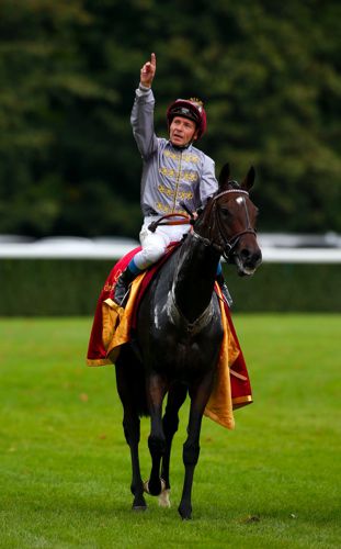 Treve